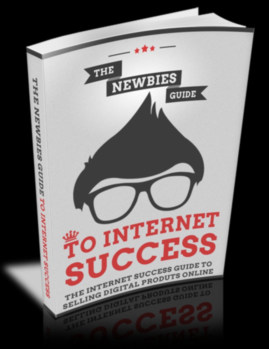The Newbies Guide to Internet Success