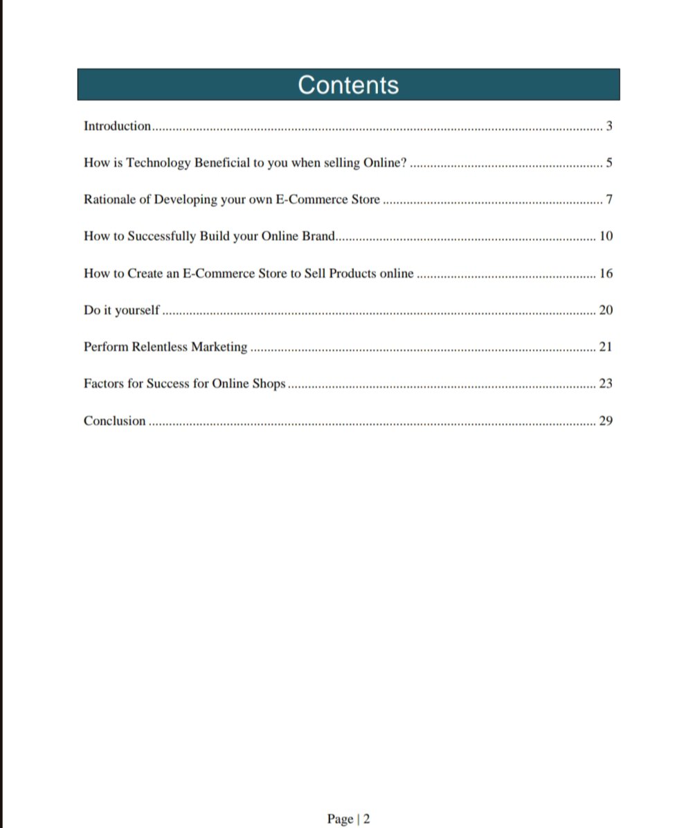 The Newbies Guide to Internet Success - Image 2